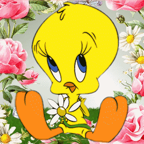 Gif Titi clin d'oeil